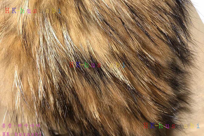 NEW  е Ż BB 447004