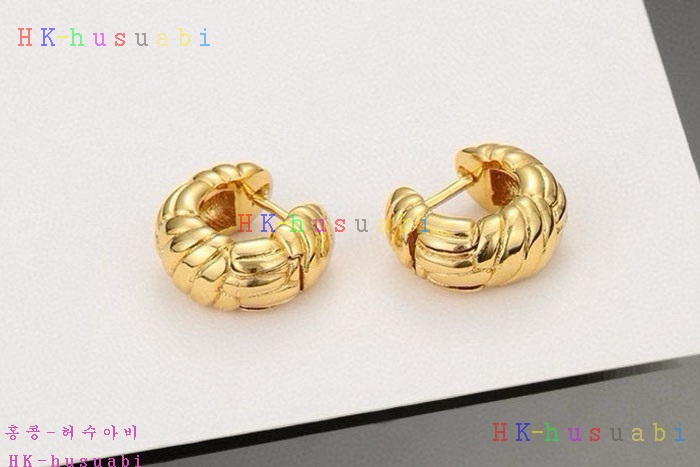 NEW 셀린느 귀걸이 신상  C 857220